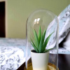 Отель Bright Cosy Flat Close by Tourist Spots, фото 10
