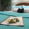 Отель Pousada Casa dos Gattos - Prox Aero GRU, фото 10