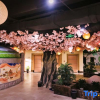 Отель Saina Island Hot Spring Hotel, фото 7