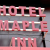 Отель Maple Inn, фото 1