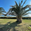 Отель Relax in This Sithonia Property With Ocean Views, фото 35