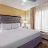 Отель Homewood Suites by Hilton St. Louis Riverport - Airport West, фото 3
