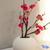 Отель Four Seasons Shangpin Hotel (Ruili Duobao City), фото 4