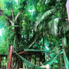 Отель Guest House da Lui, фото 12