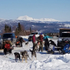 Отель Denali Wild Stay, фото 30