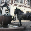 Отель Centro Hotel Alzey, фото 1