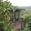Отель Lone Kauri Lodge, фото 4