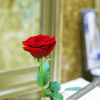 Отель Zheshang Hotel, фото 10