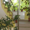 Отель Pension Cremona, фото 13