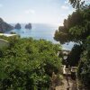 Отель La Coccodrilla in Capri, фото 19