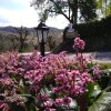 Отель Agriturismo le Spighe - Fattoria Bertaccini, фото 10