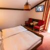 Отель Pension Bergfried, фото 3
