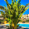 Отель Sunny Lakes Resort Apartments - Adults Only, фото 17