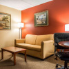 Отель Comfort Inn & Suites, фото 6