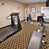 Отель Holiday Inn Express Hotel & Suites LANSING-LEAVENWORTH, фото 18