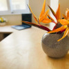 Отель Cozy Nest - 2min To Beach, 6min Walk To Old Town, фото 14