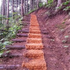 Отель Jangseong Pyeonbaeksup Hwangto Pension, фото 17