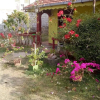 Отель Saja Homestay, фото 1