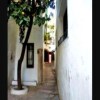 Отель Apartment With 3 Bedrooms In Cordoba, With Wonderful City View And Wifi, фото 1