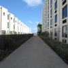 Отель Gulfview II Condominium 509, фото 1