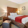 Отель Comfort Inn & Suites Galt - Lodi North, фото 4