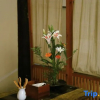 Отель Cishe Meixue Hostel (Ningbo Cihupan), фото 2
