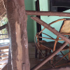 Отель Kajibange bar and guesthouse, фото 9