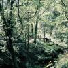 Отель Charming Yurt in Kelburn Estate Near Largs, фото 25