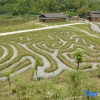 Отель Fushengyu Resort, фото 13
