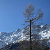 Отель Bergfreude Saas-grund, фото 26