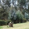 Отель Casa Campestre Familiar, фото 13