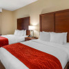 Отель Comfort Inn & Suites, фото 4