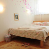 Отель Apartment Daca Stan, фото 12