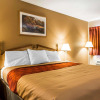 Отель Econo Lodge Inn & Suites, фото 3