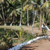Отель Mango Tree Farm, фото 25