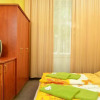 Отель Penzion Manes, фото 6