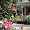 Отель Emerald Beach 5 - Villa Aspicia, фото 21