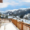 Отель Chalet Hermine Blanche, фото 18