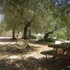 Отель La Collina Fiorita (CDL620), фото 22