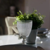 Отель Casa di Calma Four Seasons Guest House, фото 8