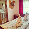 Отель Pensiunea La Muncel, фото 3