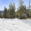Отель Pines 103 4 Bedroom Ski In Out Town House, фото 12