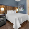 Отель Extended Stay America Premier Suites - Asheville, фото 5