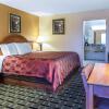 Отель Econo Lodge, фото 5