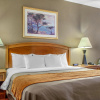 Отель Comfort Inn & Suites I-25 near Spaceport America, фото 28