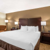 Отель Comfort Inn & Suites Lake Norman, фото 4