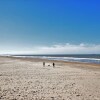 Отель Luxurious Holiday Home with Hot Tub in Noordwijk, фото 15