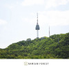 Отель Namsan Forest Myeongdong Station, фото 24