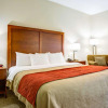 Отель Comfort Inn & Suites Clemson - University Area, фото 5