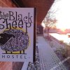 Отель The Black Sheep Hostel, фото 3